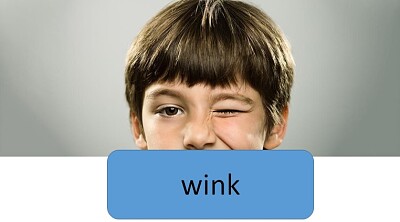 wink jigsaw puzzle
