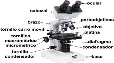פאזל של microscopio