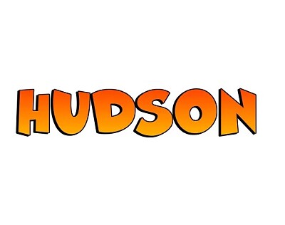 HUDSON PAINT