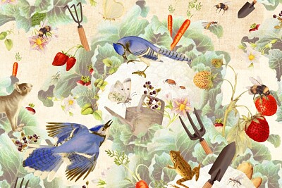 Garden Jays jigsaw puzzle