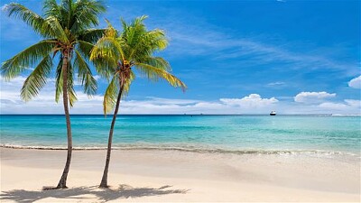 פאזל של Jamaica Beach