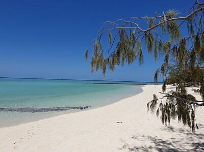 Heron island