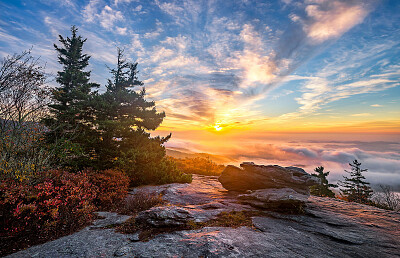 North Carolina USA jigsaw puzzle