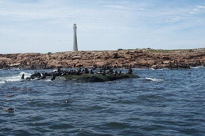 פאזל של Isla de Lobos