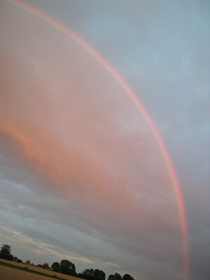 פאזל של over the rainbiw