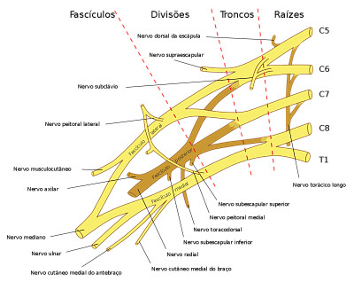 fisio jigsaw puzzle