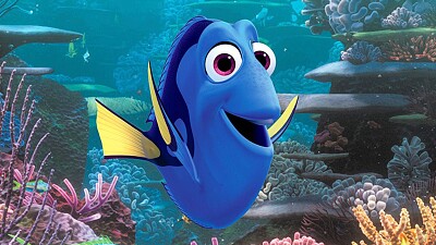 Dory