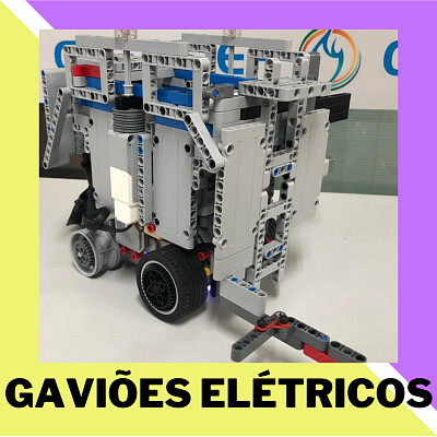 פאזל של GaviÃµes elÃ©tricos