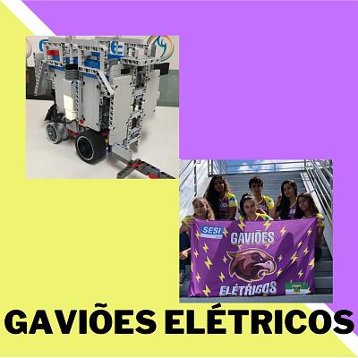 GaviÃµes elÃ©tricos jigsaw puzzle