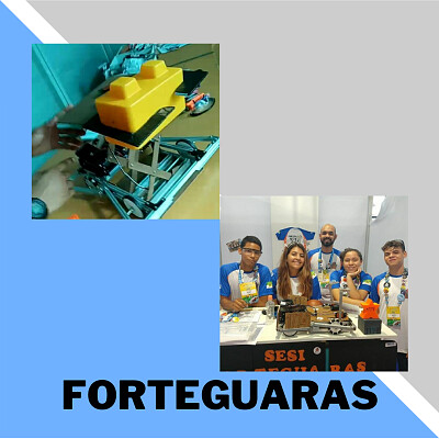 Forteguaras
