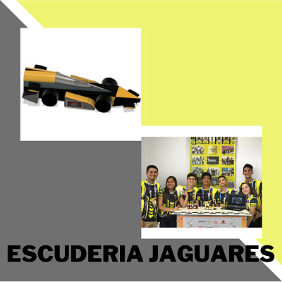 Escuderia Jaguares jigsaw puzzle