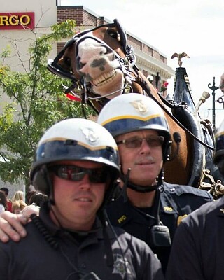 פאזל של PRO POLICE HORSES
