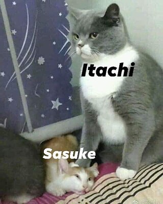eres debil sasuke te falta odio