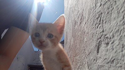 tyron en la escalera