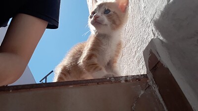 tyron en la escalera