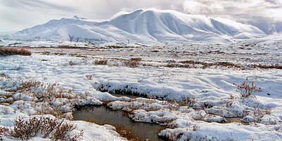 Tundra jigsaw puzzle