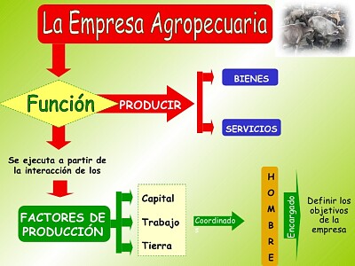 פאזל של Detalle de las empresas agropecuarias