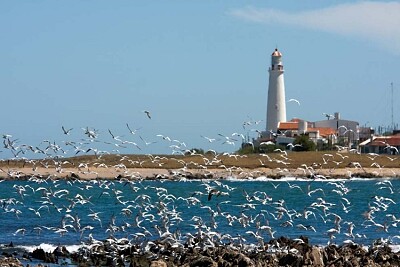 Faro de San Ignacio jigsaw puzzle