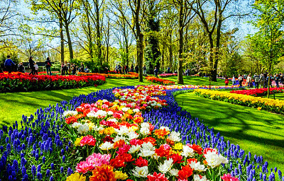 bello jardin
