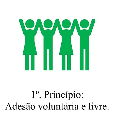 PRINCIPIO 1