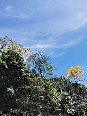 LOS COLORES DE MI TIERRA