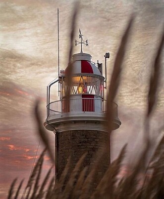 Faro de Punta Carretas jigsaw puzzle