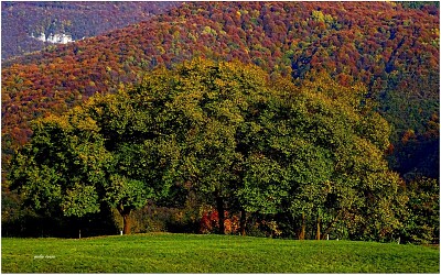 autunno in lessinia ,Verona