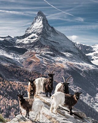 פאזל של ZERMATT