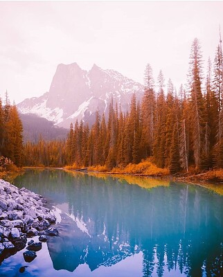 Lago boreal jigsaw puzzle