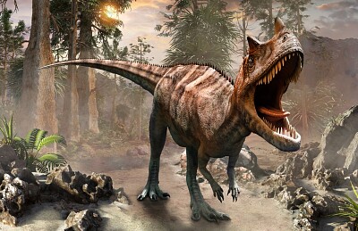 פאזל של Tiranosaurio