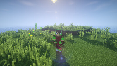 minecraft puzle bb