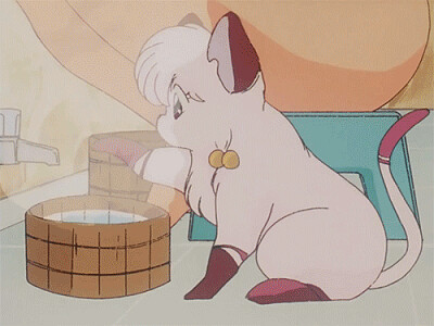 shampoo transformada en gatita ranma 1/2