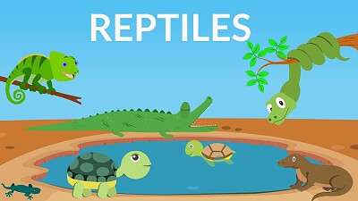 Discover reptiles jigsaw puzzle