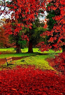 otoÃ±o rojo