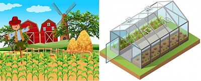Fiel VS Hothouse