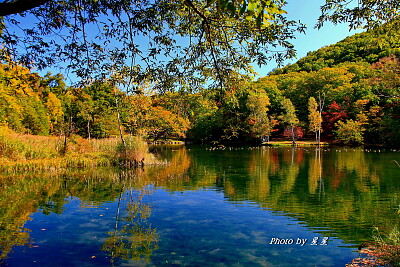 פאזל של Autumn in Hokkaido