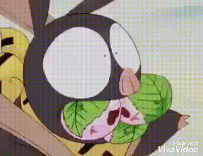 ranma hace que p-chan coma las tortas de akane