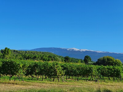 פאזל של mont Ventoux