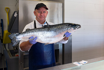 Fish Monger Holding a Salmon