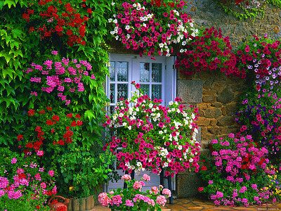 JardÃ­n vertical