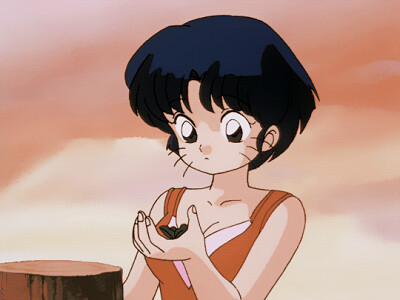 akane con bigotes ranma 1/2