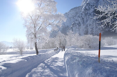 פאזל של Invierno