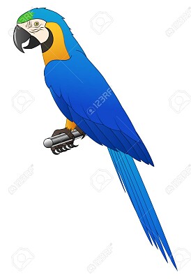 blue macaw puzzle