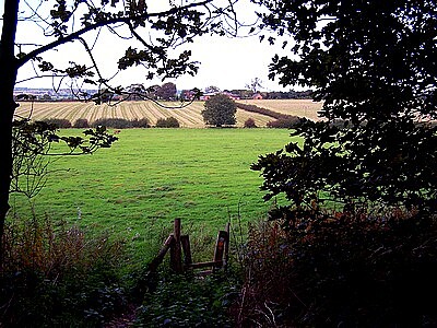 Hollies Farm