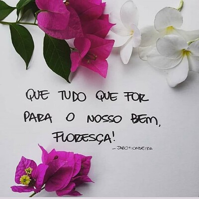 Flor