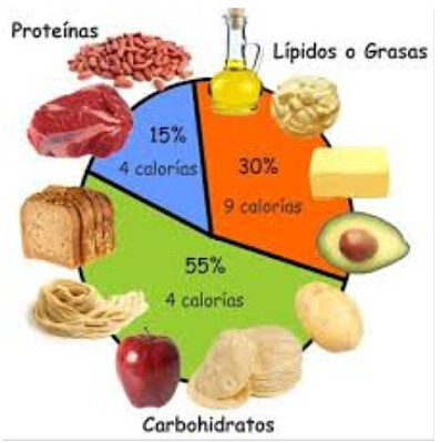 פאזל של carbohidratos, lipidos y proteinas