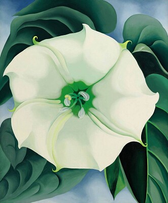 Georgia O`keeffe