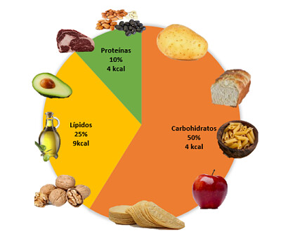 Macro-nutrimentos jigsaw puzzle