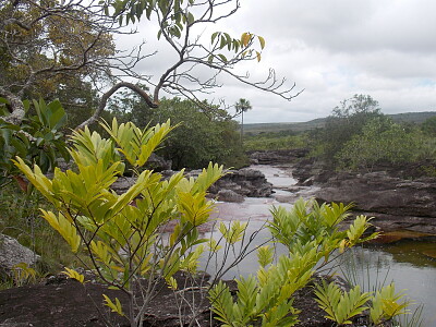 CaÃ±o Cristales2