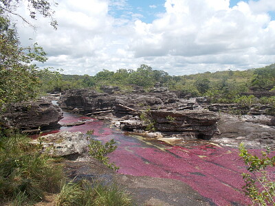 פאזל של CaÃ±o Cristales3